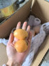 智田喜攀枝花米易枇杷水果时令水果当季枇杷果大五星新鲜孕妇生鲜水果 枇杷 3斤 特大果(40-50g) 实拍图