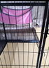 蔻丝【加粗方管】猫笼子超大号家用猫窝别墅带厕所一体室内屋宠物猫笼 超大三层 白【71*55*127】多开门 【玩乐款】猫抓板+窝+碗+超值款 实拍图