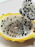 闽农语果燕窝果麒麟果云南/广东黄色火龙果金色白心当季新鲜水果整箱送礼 1斤尝鲜装 A级精品果丨单果100-150g 实拍图