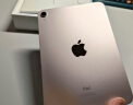 Apple/苹果 iPad mini(第 6 代)8.3英寸平板电脑 2021款(64GB WLAN版/MLWL3CH/A)粉色 实拍图