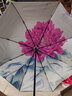 天堂伞双层防晒伞防紫外线太阳伞雨伞晴雨伞两用小清新遮阳伞 米色（双层牡丹） 实拍图