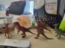 【精选】Wenno动物模型仿真恐龙玩具儿童认知玩具霸王龙肿头龙甲龙玩具模型野生动物园恐龙摆件玩具 翼龙 实拍图