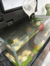 米家小米智能生态鱼缸 整机免装半年免换水语音遥控APP定时喂食水族箱 米家智能鱼缸 晒单实拍图