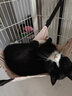 宠六一猫咪吊床 猫秋千 猫笼子挂式秋千床 悬挂式猫窝 猫笼配件 粉色小号 实拍图