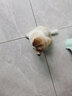 普安特宠物狗狗猫咪IGY抗特力犬瘟热细小猫瘟腹泻呕吐咳嗽感冒猫鼻支 抗特力+弗诺多(犬用）+卡瓦宁 实拍图