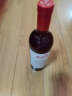 奔富（Penfolds）BIN389赤霞珠设拉子干红葡萄酒 750ml*1支 澳洲原瓶进口 晒单实拍图