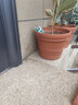 爱丽思（IRIS）特大号圆形花盆种树庭院超大加厚大盆景树木无花果蓝莓果树种植盆 7号米色 约3.3L (口径20.9cm) 实拍图