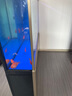 森森超白鱼缸水族箱客厅大型底滤专业龙鱼缸智能生态懒人鱼缸 经典黑 （高缸矮柜）ED靠墙款152长x36宽x152高 实拍图