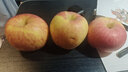 山丘二十里【果园直发】甜脆多汁山东烟台栖霞红富士苹果新鲜水果不打蜡 4.5斤超大果6粒装 实拍图
