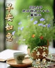 柒牌男士背心夏季凉感冰丝无痕打底抑菌透气运动跨栏无袖衣1JF70140 天蓝 XL 实拍图