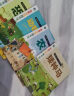 亲亲科学图书馆：亲亲自然图书馆（套装共8册）（恐龙+动物+海洋+四季+动物宝宝+小虫子）(中国环境标志绿色印刷) 实拍图