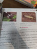 森林报（作者定本全译，珍藏纪念版，礼盒装共4册） 实拍图