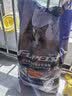 福派斯大袋猫粮幼猫成猫三文鱼通用天然粮英短美短猫粮高蛋白全价 三文鱼通用猫粮 10kg 实拍图