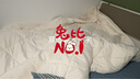 梦洁家纺 大豆被 燃梦A级抗菌子母被 被芯四季通用大豆纤维被 【子母被】燃梦 30%大豆纤维被 200cm*230cm 实拍图