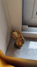 吉善缘 全铜鸡摆件 黄铜12生肖鸡金钱元宝鸡公鸡家居客厅办公室开业礼品 高9cm黄铜 实拍图