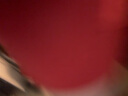 蕉内红色计划3系男士内裤棉底裆抗菌平角裤本命年龙年礼物礼盒3件装 【男平角】3系红色礼盒裸感系列 M 晒单实拍图