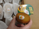 佳沛（zespri）新西兰阳光金奇异果12粒礼盒特大果单果约124-146g生鲜水果礼盒 实拍图