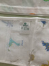 盛哲卡 婴儿肚围纯棉纱布小孩护肚裹腹新生儿护脐带薄款夏季 蓝色恐龙 14*51cm 实拍图