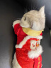 华元宠具（hoopet）猫咪衣服过年喜庆唐装猫猫冬季保暖衣小猫衣服新年拜年舞狮服装 恭喜发财舞狮唐装 XS：根据图片尺寸选择 实拍图