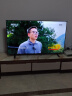 东芝（TOSHIBA）电视 高色域量子点120Hz高刷 4K超清液晶平板电视机 家电智能语音游戏彩电 品牌排行前十名 55英寸 55Z500MF 晒单实拍图