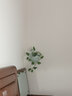 安言 壁挂花瓶墙上遮丑免打孔陶瓷创意悬挂式悬吊花盆绿萝简约水培 YY-壁挂-荷韵(天青)) 小 实拍图