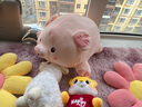 捉趣（ZHUOQU）小猪公仔可爱创意毛绒玩具玩偶陪睡抱枕靠垫娃娃玩偶女生生日礼物 BOBO猪呆萌款 50cm 实拍图