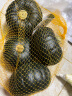 家美舒达山东 贝贝南瓜 约1.5kg 板栗小南瓜 新鲜蔬菜 实拍图