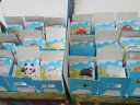 POP MART泡泡玛特 DIMOO动物王国系列手办潮玩玩具摆件公仔生日礼物 整盒（含12个盲盒） 晒单实拍图