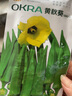 凤鸣雅世秋葵种子四季菜种籽阳台春秋季蔬菜种孑菜籽早熟大田基地种植种子 绿美人黄秋葵种子10克 实拍图