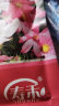 寿禾 波斯菊种子格桑花菊花盆栽种籽 大花波斯菊混色种子100g(大袋) 实拍图