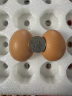 CP  正大 鲜鸡蛋 30枚 1.59kg 早餐食材 优质蛋白  简装 年货礼盒 实拍图