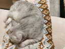 玫斯（metz）【营养鲜食系列】全价成年期猫粮5kg 成猫猫粮海陆双拼主粮10斤 实拍图