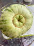 豪系 绿宝甜瓜 头茬绿宝石甜瓜新鲜当季脆甜香瓜 5斤装 晒单实拍图