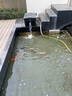 欧亚瑟室外鱼池水循环系统鱼池过滤器锦鲤鱼池过滤桶箱锦鲤池塘净化装置 36000直流套装/15立方米内鱼池 实拍图