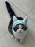 海洋之星猫零食猫罐头补水营养汤罐85g成猫幼猫肉罐 实拍图