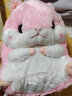 婴果小岛仓鼠抱枕毯子二合一毛绒玩具玩偶儿童抱睡觉娃娃公仔生日礼物女生 粉色仓鼠+毯子1*1.7米 实拍图