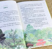 森林报春夏秋冬全套4册正版四年级下册同步课本书目小学生三年级五年级课外阅读书籍绘本非注音经典童话故事书沈石溪狼王梦作家榜 张艺兴618 实拍图