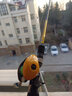 光威（GW）光威小黄竿路亚套装直柄小黄轮枪柄水滴轮打黑雷强鲈鱼翘嘴碳素杆 【枪柄】2.1米+黄左+PE线+假饵 实拍图