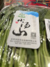 小汤山 北京 菠菜 280g 基地直供新鲜蔬菜 实拍图