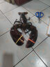 首鲜道【活鲜】波士顿龙虾鲜活波龙 大龙虾海鲜鲜活礼盒大虾年货礼盒 超大号1只【4-4.2斤】 实拍图