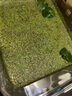 云峰海瑞真水草活体浮萍水草活体植物 鱼缸水草  净化水质 鱼缸造景装饰 圆心萍3颗 实拍图