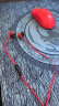 极度未知（HYPERX） 云雀2灵音声卡套装 入耳式电竞游戏耳机 手游吃鸡csgo 云雀2丨红色【14.3mm驱动单元】 晒单实拍图