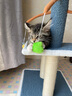 华元宠具（hoopet）猫爬架小型猫抓柱剑麻磨爪猫抓板转盘玩具球猫咪玩具幼猫跳台猫爬 逗趣躺玩爬架-蓝白 实拍图