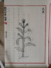 【包邮】救荒本草（全3册）钦定四库全书 晒单实拍图