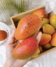 嗯嗯乐【顺丰】海南三亚澳芒果 新鲜当季芒果水果热带树上熟 5斤装 实拍图