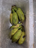 广西小米蕉小香蕉自然熟迷你香蕉苹果蕉小芭蕉新鲜水果特产鸡蕉 小米蕉 1斤 泡沫箱打包 实拍图