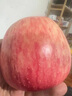 青怡云南昭通红露苹果冰糖心当季早熟脆甜应季水果产地直发 1.5斤【60mm】 实拍图