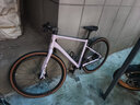 SUNPEED速比特kepler开普勒公路车平把瓜车自行车男士女士通勤砾石山地车 樱桃粉 48M身高173-180cm 颜色 实拍图