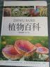 植物百科（儿童注音版）  实拍图
