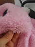 浩冠 帽子女冬季百搭网红兔耳朵韩版毛绒时尚可爱抖音同款儿童手套围巾一体保暖棉帽 粉色-大人款 帽子围巾手套一体 实拍图
